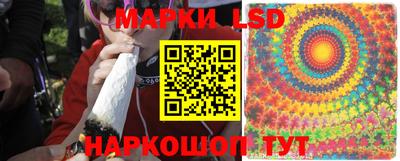 PSILOCYBIN Берёзовский