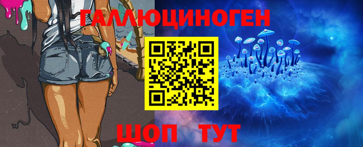 Псилоцибиновые грибы Psilocybine cubensis Гулькевичи