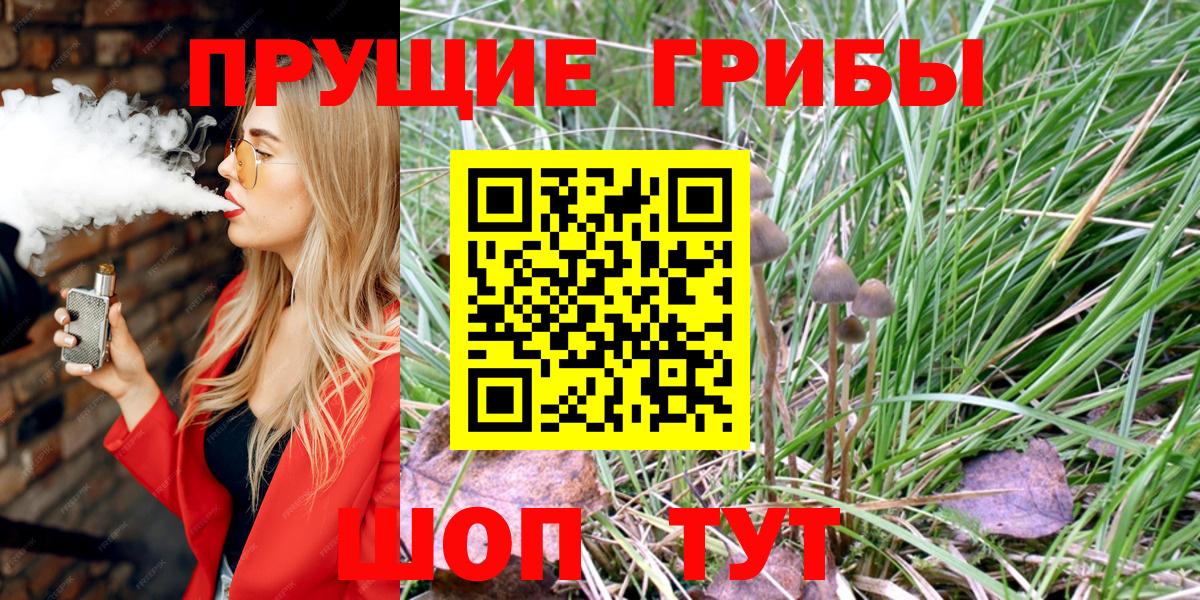 Псилоцибиновые грибы мицелий Гулькевичи